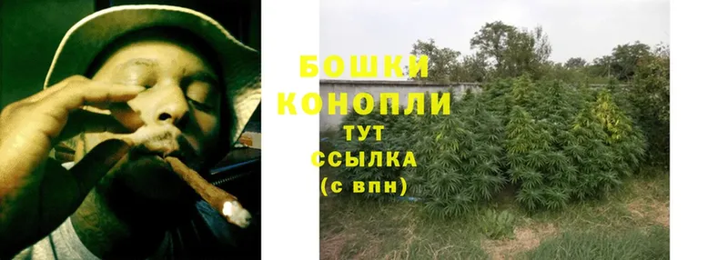 Канабис планчик  OMG ссылки  Бодайбо  что такое  